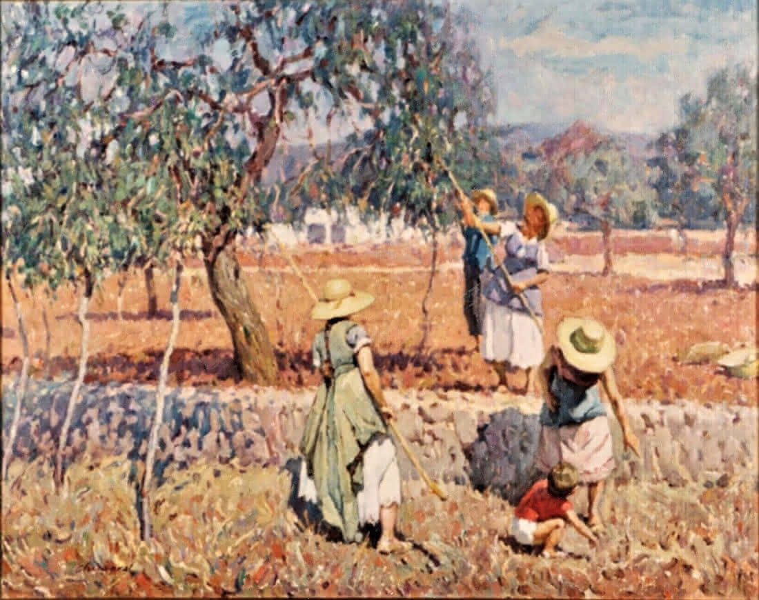 Recogiendo almendras